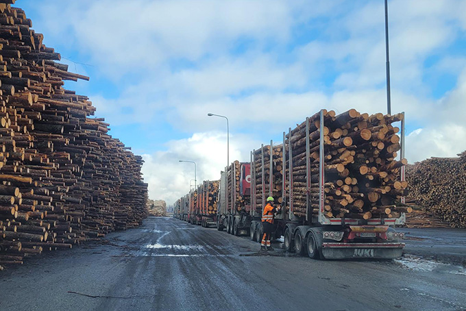 Puutavara-autoja otettaan vastaan ja ohjataan purkupaikalle.